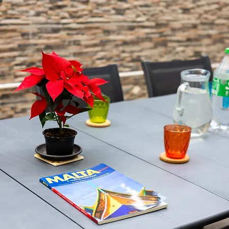 Modern, Stylish & Comfortable 3 Bedroom With Jacuzzi, Aquarium And Private Yard With Barbeque