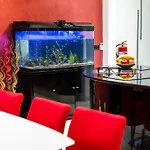 Modern, Stylish & Comfortable 3 Bedroom With Jacuzzi, Aquarium And Large Private Yard With Barbeque شقة المليحة