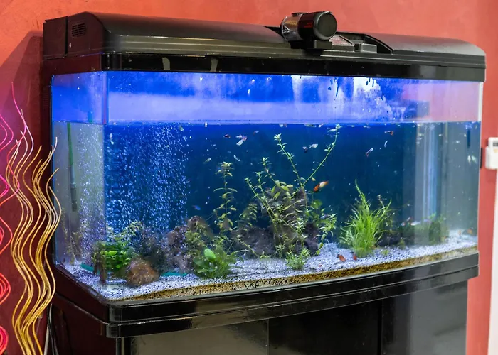 شقة Modern, Stylish & Comfortable 3 Bedroom With Jacuzzi, Aquarium And Large Private Yard With Barbeque المليحة